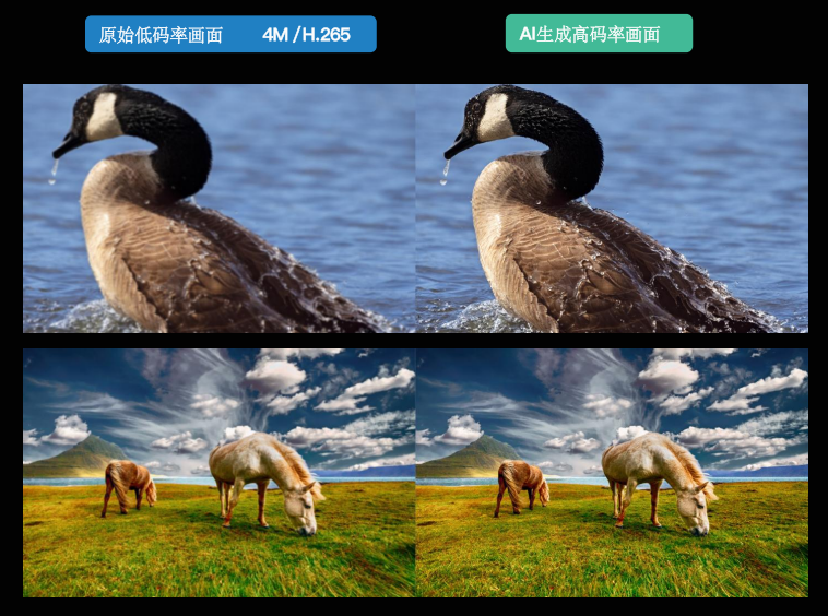 低码率与恢复后的水鸟、草原图像对比
